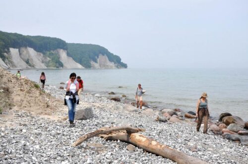 Deutschland / Rügen - Fossiliensuche Kreideküste