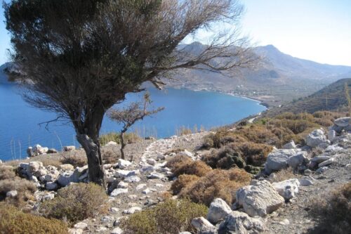 Wanderpfad nach Agios Antonios!